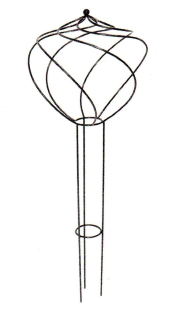 Cibule spirála - 150cm