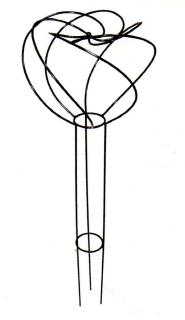 Růže spirála - 150cm